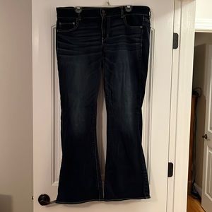 American eagle artist size 16 reg